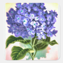 Pegatina azul del Hydrangea