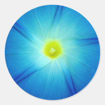 Pegatina azul LowRollerAcres de la flor