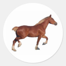 Pegatina belga del caballo de proyecto