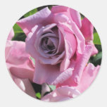 Pegatina color de rosa rosado oscuro pegatinas