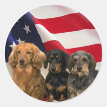 Pegatina de América del Dachshund