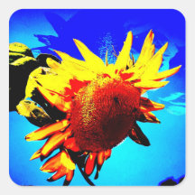 pegatina de la amistad del girasol