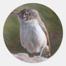Pegatina de la bella arte del Wren de roca