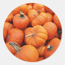 Pegatina de la calabaza
