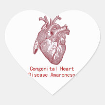 Pegatina de la conciencia de CHD