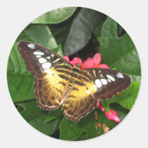 Pegatina de la mariposa