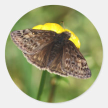 Pegatina de la mariposa de Duskywing de Horacio