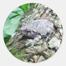Pegatina de la rana arbórea