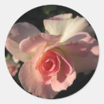 Pegatina de la seducción de Rosa pegatinas