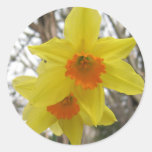 Pegatina de la sol de la primavera pegatinas