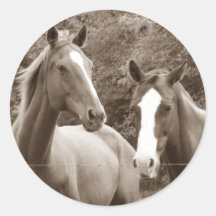 Pegatina de los caballos