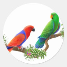 Pegatina de los pájaros de Eclectus