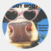 PEGATINA DE POTE CONSEGUIDO DEL MOO