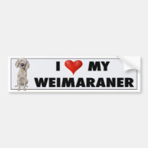 Pegatina del amor de Weimaraner Pegatina De Parachoque