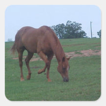 Pegatina del caballo de granja