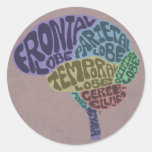 Pegatina del cerebro