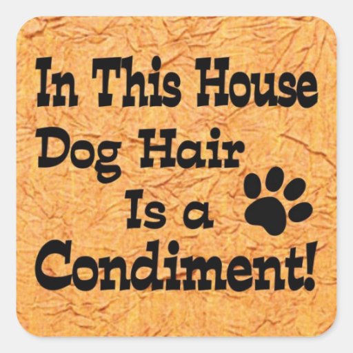 Pegatina del condimento del pelo de perro