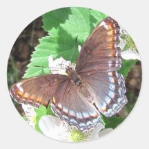 Pegatina del ~ de la mariposa de Diana