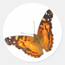Pegatina del ~ de señora Butterfly