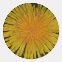 pegatina del diente de león