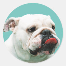 Pegatina del dogo