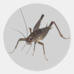 Pegatina del grillo
