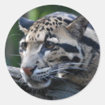 Pegatina del leopardo