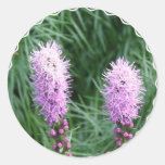 Pegatina del Liatris