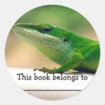 Pegatina del libro de Anole del amante del lagarto