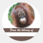 Pegatina del libro del amante del primate