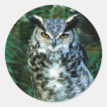 Pegatina del pájaro del búho