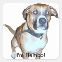 Pegatina del perro de Rambo
