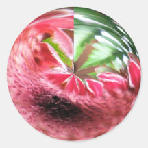 Pegatina del Protea