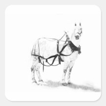 Pegatina equino del arte del caballo de proyecto d