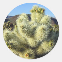 Pegatina espinoso del cactus de Cholla