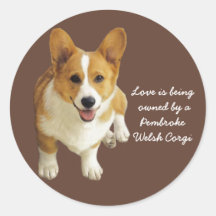 Pegatina feliz del Corgi Galés del Pembroke