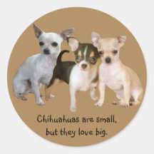 Pegatina feliz del trío de la chihuahua