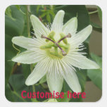 PEGATINA - floral blanco bonito pegatinas