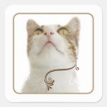 Pegatina floral blanco del cuadrado del gato