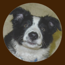 Pegatina lindo del perrito pegatinas
