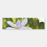 Pegatina para el parachoques blanca del iris etiqueta de parachoque