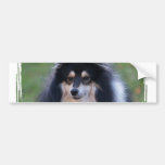 Pegatina para el parachoques de la foto de Sheltie Pegatina De Parachoque
