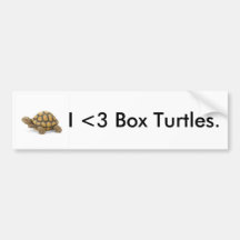 Pegatina para el parachoques de la tortuga de caja pegatina de parachoque