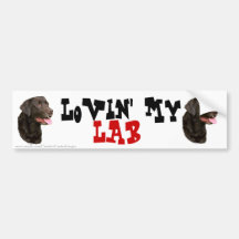 Pegatina para el parachoques del labrador retrieve etiqueta de parachoque
