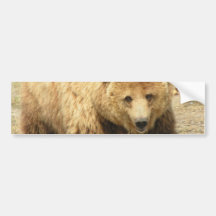 Pegatina para el parachoques del oso grizzly etiqueta de parachoque