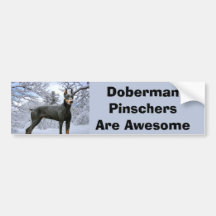 Pegatina para el parachoques del Pinscher del Dobe Etiqueta De Parachoque