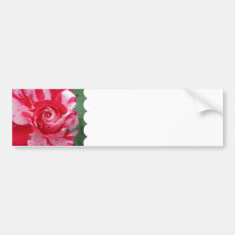 Pegatina para el parachoques del rosa rojo y blanc etiqueta de parachoque
