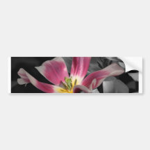 Pegatina para el parachoques rosada de la flor etiqueta de parachoque