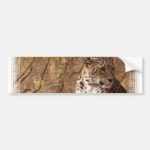 Pegatina para el parachoques vigilante del leopard etiqueta de parachoque