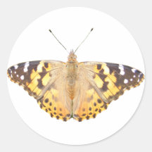 Pegatina pintado del ~ de señora Butterfly